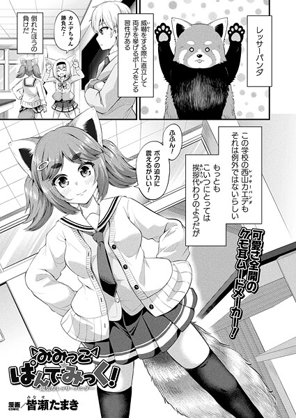 【フル漫画】みみっこ・ぱんでみっく！―陽気なレッサーパンダ―【単話】｜b073bktcm07327