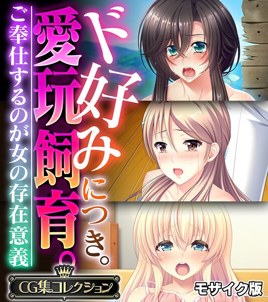【フル漫画】ド好みにつき。愛玩飼育。 〜ご奉仕するのが女の存在意義〜【CG集コレクション】 モザイク版｜k187afrnt11942